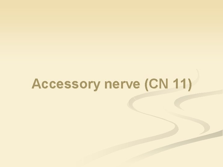 Accessory nerve (CN 11) 