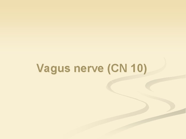 Vagus nerve (CN 10) 