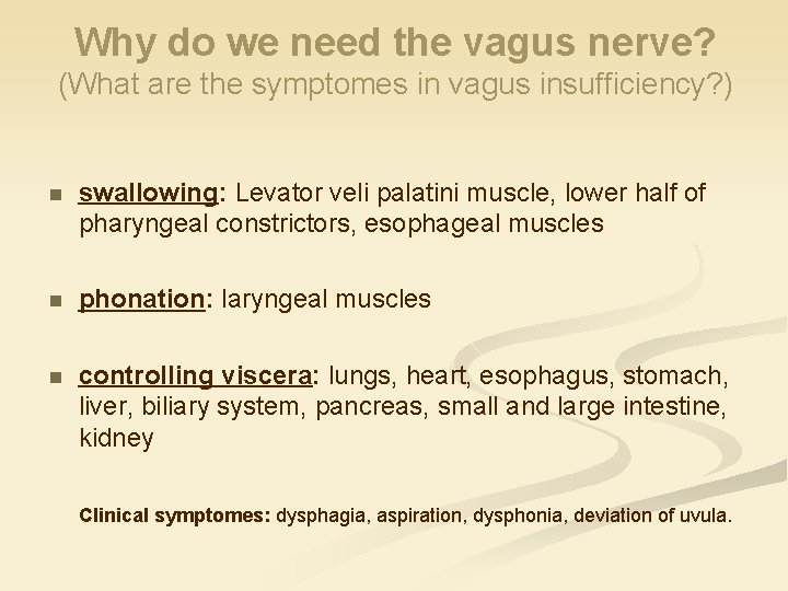 Why do we need the vagus nerve? (What are the symptomes in vagus insufficiency?