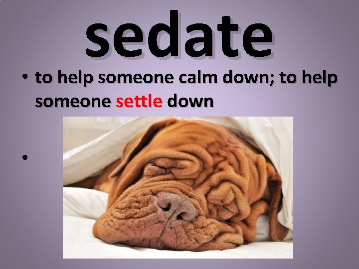 sedate • to help someone calm down; to help someone settle down • 