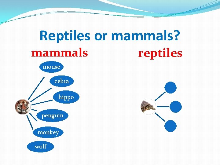 Reptiles or mammals? mammals mouse zebra hippo penguin monkey wolf reptiles 