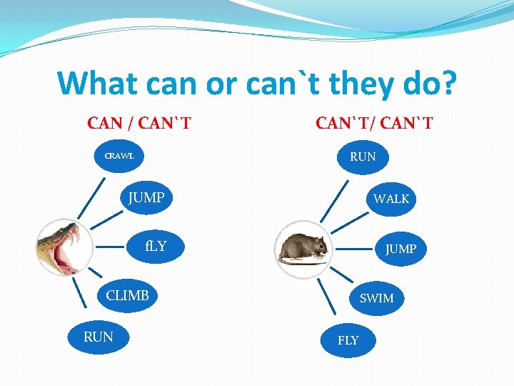 What can or can`t they do? СAN / CAN`T/ CAN`T RUN CRAWL JUMP WALK