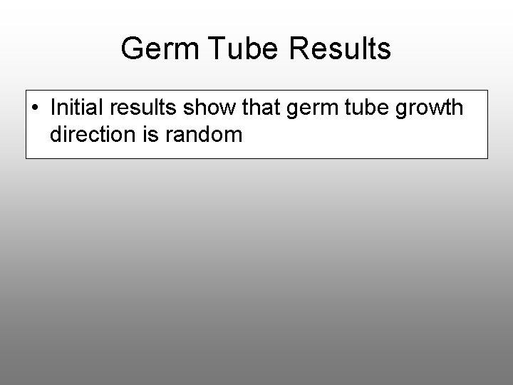 Germ Tube Results • Initial results show that germ tube growth direction is random