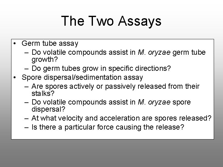 The Two Assays • Germ tube assay – Do volatile compounds assist in M.