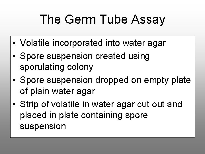 The Germ Tube Assay • Volatile incorporated into water agar • Spore suspension created