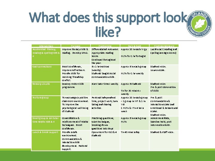 What does this support look like? Intervention Purpose Accelerated literacy, Improve literacy skills &