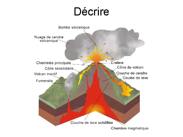 Décrire 