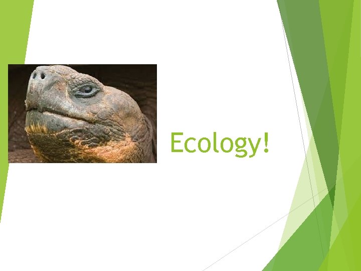 Ecology! 