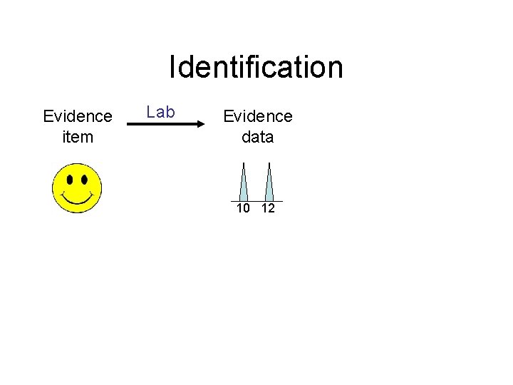 Identification Evidence item Lab Evidence data 10 12 