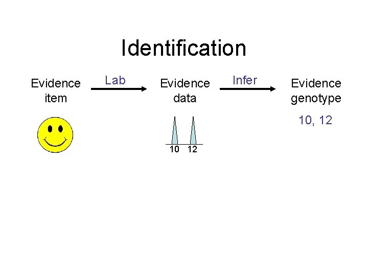 Identification Evidence item Lab Evidence data Infer Evidence genotype 10, 12 10 12 