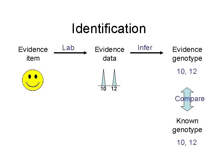 Identification Evidence item Lab Evidence data Infer Evidence genotype 10, 12 10 12 Compare