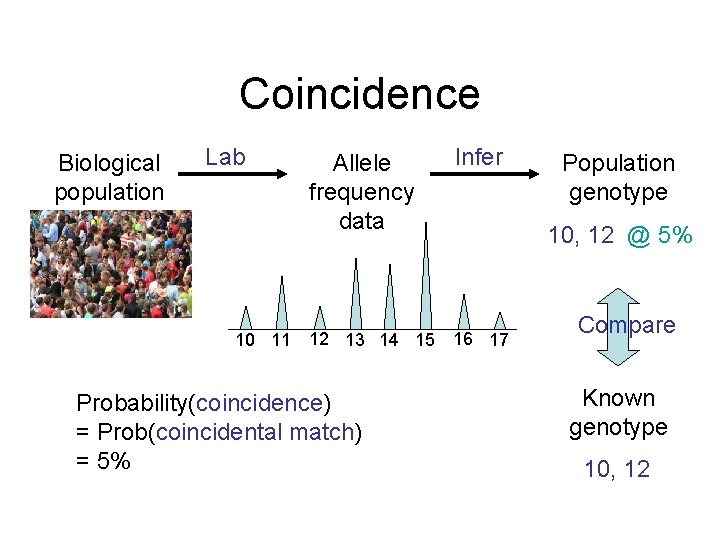 Coincidence Biological population Lab 10 11 Allele frequency data Infer 12 13 14 15