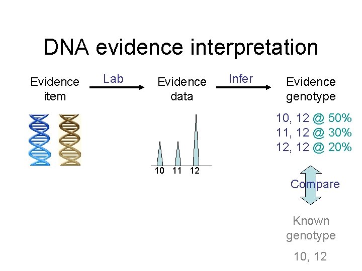 DNA evidence interpretation Evidence item Lab Evidence data Infer Evidence genotype 10, 12 @