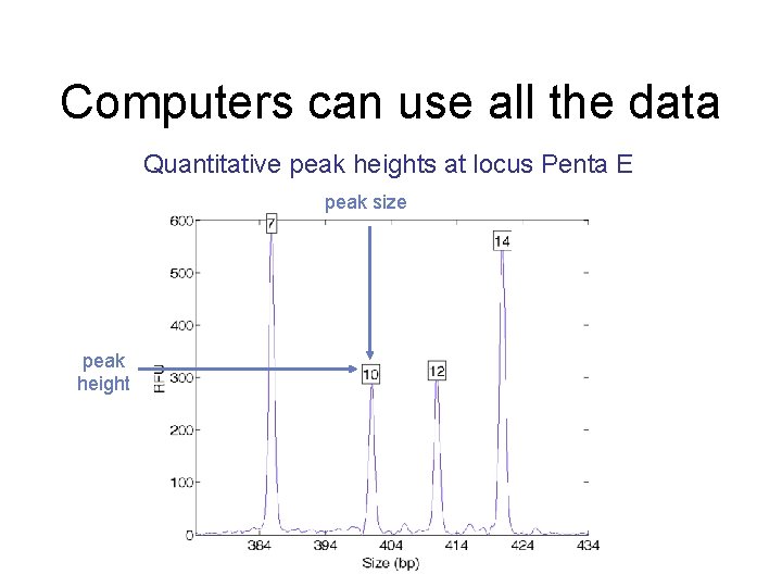 Computers can use all the data Quantitative peak heights at locus Penta E peak