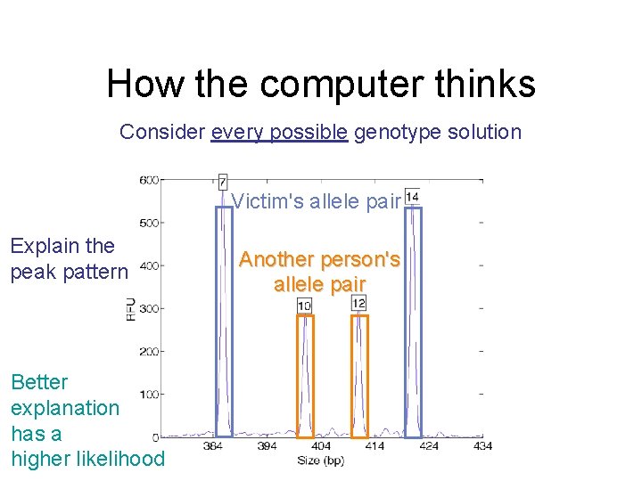 How the computer thinks Consider every possible genotype solution Victim's allele pair Explain the