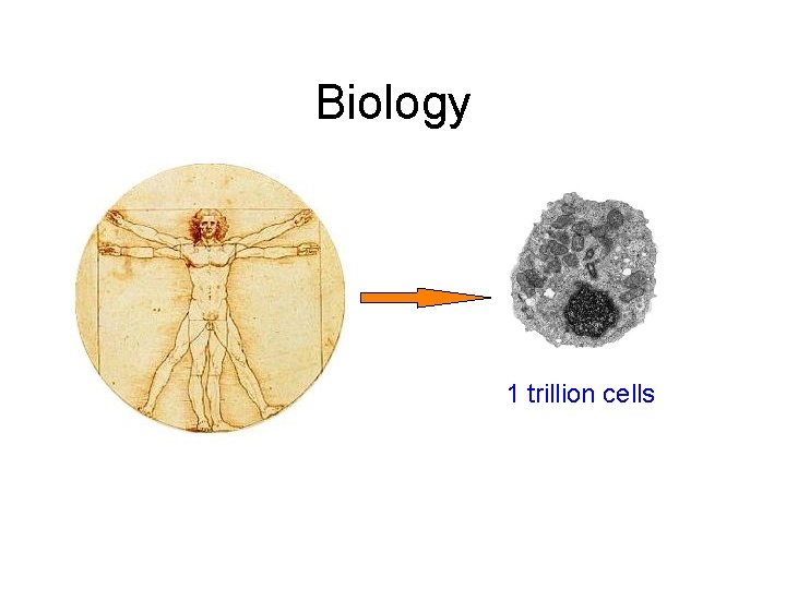 Biology 1 trillion cells 