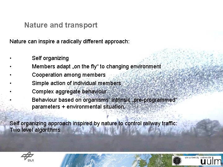 Nature and transport Nature can inspire a radically different approach: • Self organizing • Nature and transport Nature can inspire a radically different approach: • Self organizing •