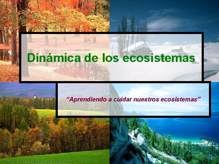 Dinámica de los ecosistemas “Aprendiendo a cuidar nuestros ecosistemas” 