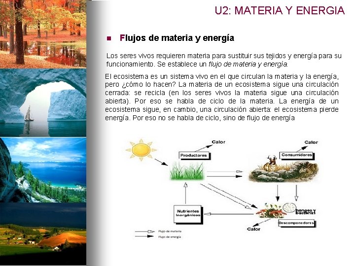 U 2: MATERIA Y ENERGIA n Flujos de materia y energía Los seres vivos