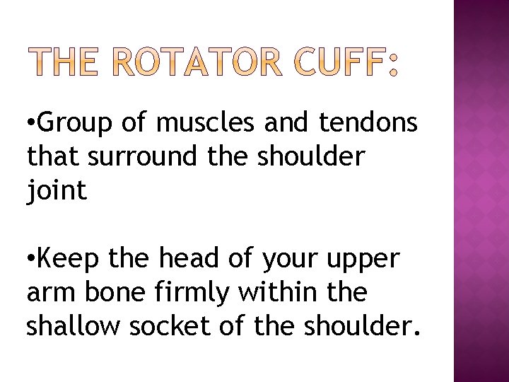  • Group of muscles and tendons that surround the shoulder joint • Keep