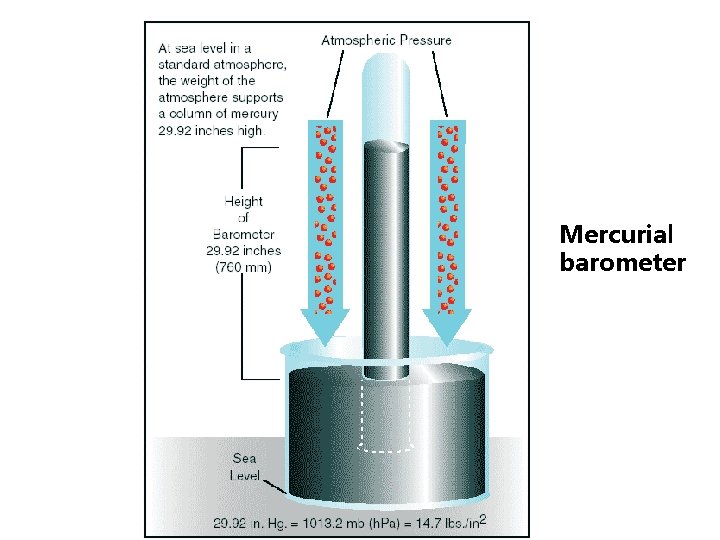 Mercurial barometer 