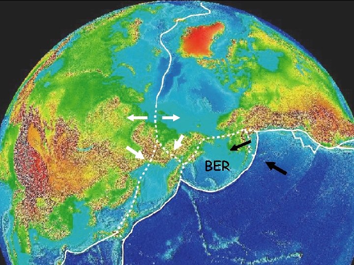 Polar with plate boundaries BER 