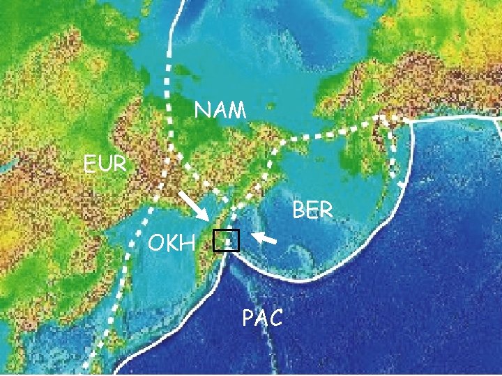 LARGE Polar with plate boundaries NAM EUR BER OKH PAC 