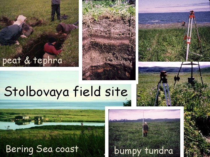 peat & tephra Stolbovaya field site Bering Sea coast bumpy tundra 