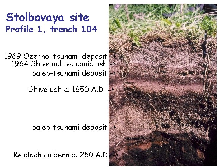 Stolbovaya site Profile 1, trench 104 1969 Ozernoi tsunami deposit -> 1964 Shiveluch volcanic