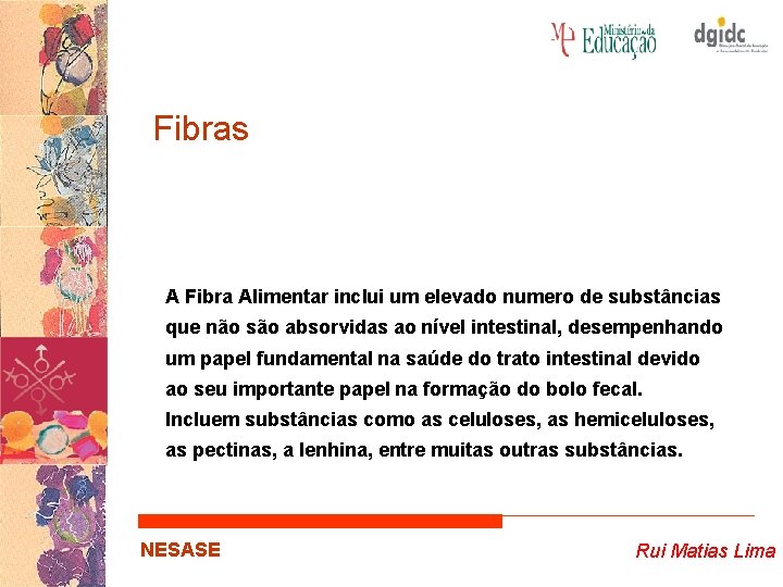 Fibras A Fibra Alimentar inclui um elevado numero de substâncias que não são absorvidas