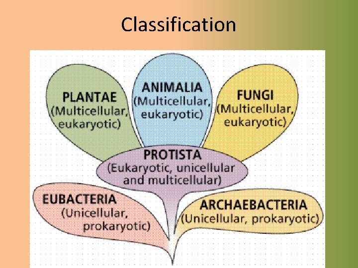 Classification 