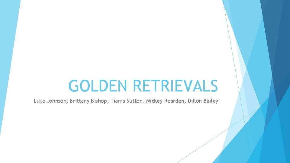 GOLDEN RETRIEVALS Luke Johnson, Brittany Bishop, Tiarra Sutton, Mickey Rearden, Dillon Bailey 