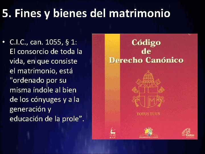 5. Fines y bienes del matrimonio • C. I. C. , can. 1055, §