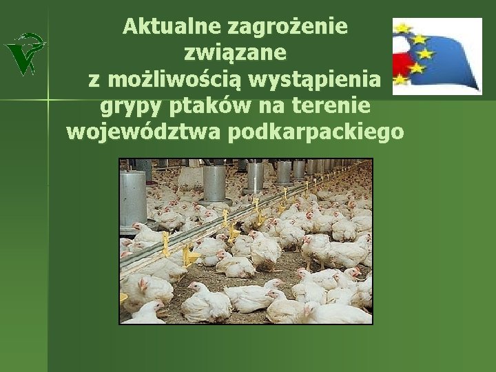 Aktualne zagrożenie związane z możliwością wystąpienia grypy ptaków na terenie województwa podkarpackiego 