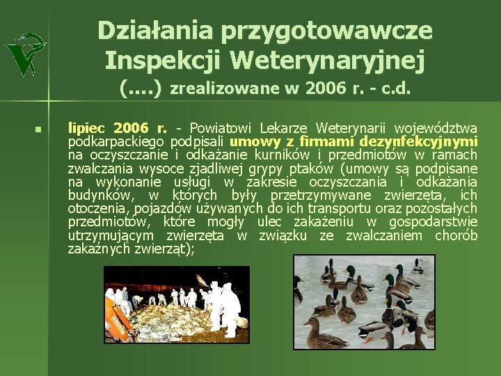 Działania przygotowawcze Inspekcji Weterynaryjnej (…. ) zrealizowane w 2006 r. - c. d. n