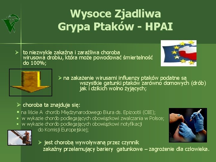 Wysoce Zjadliwa Grypa Ptaków - HPAI Ø to niezwykle zakaźna i zaraźliwa choroba wirusowa