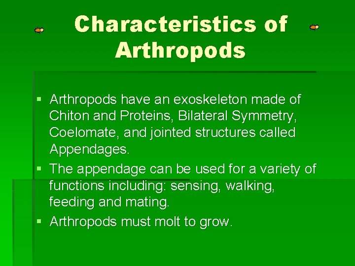 Characteristics of Arthropods § Arthropods have an exoskeleton made of Chiton and Proteins, Bilateral