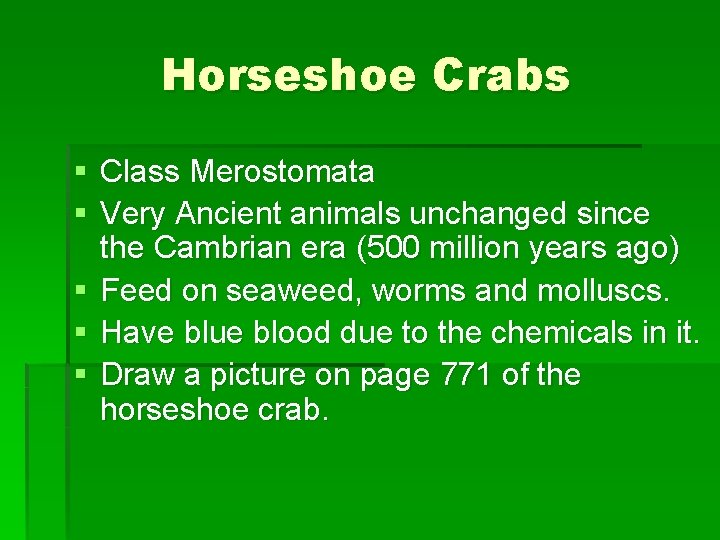 Horseshoe Crabs § Class Merostomata § Very Ancient animals unchanged since the Cambrian era