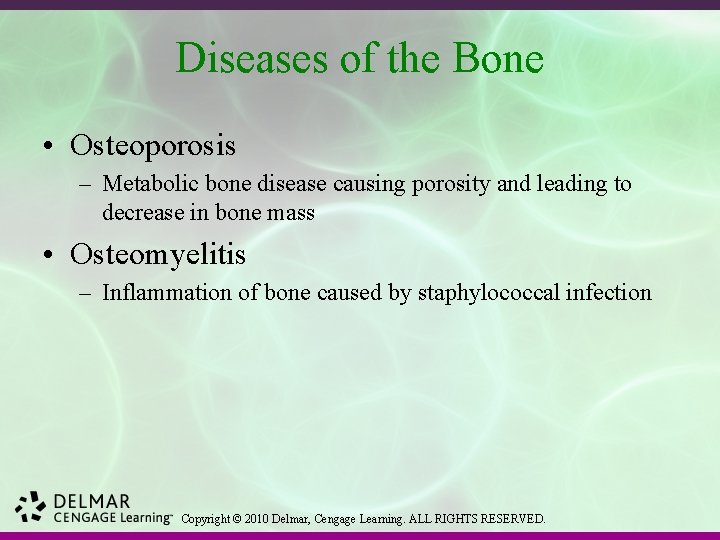 Diseases of the Bone • Osteoporosis – Metabolic bone disease causing porosity and leading