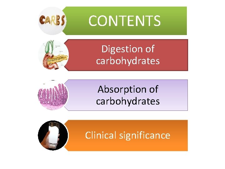 CONTENTS Digestion of carbohydrates Absorption of carbohydrates Clinical significance 