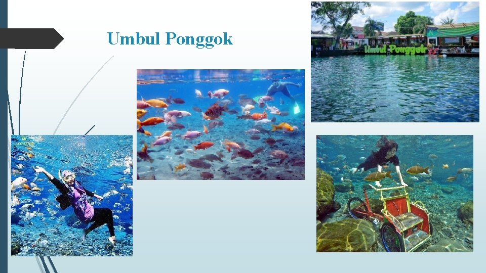 Umbul Ponggok 