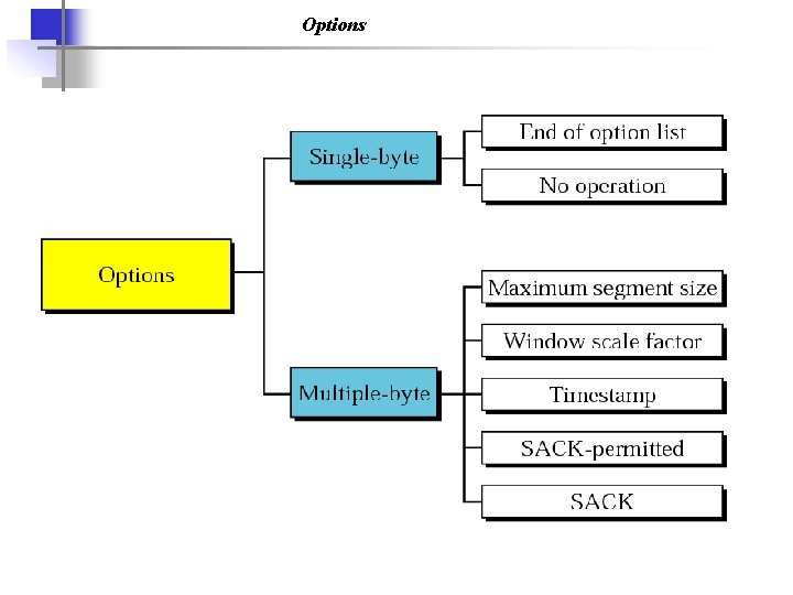 Options 