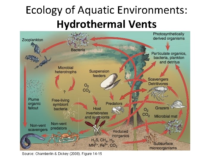 Ecology of Aquatic Environments: Hydrothermal Vents Source: Chamberlin & Dickey (2008). Figure 14 -15