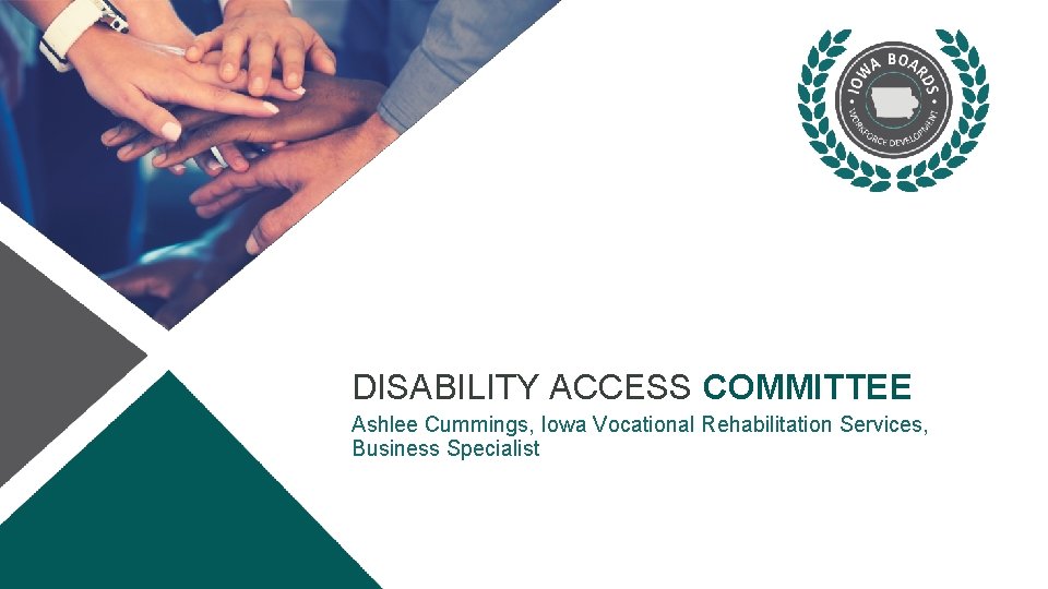 DISABILITY ACCESS COMMITTEE Ashlee Cummings, Iowa Vocational Rehabilitation Services, Business Specialist 