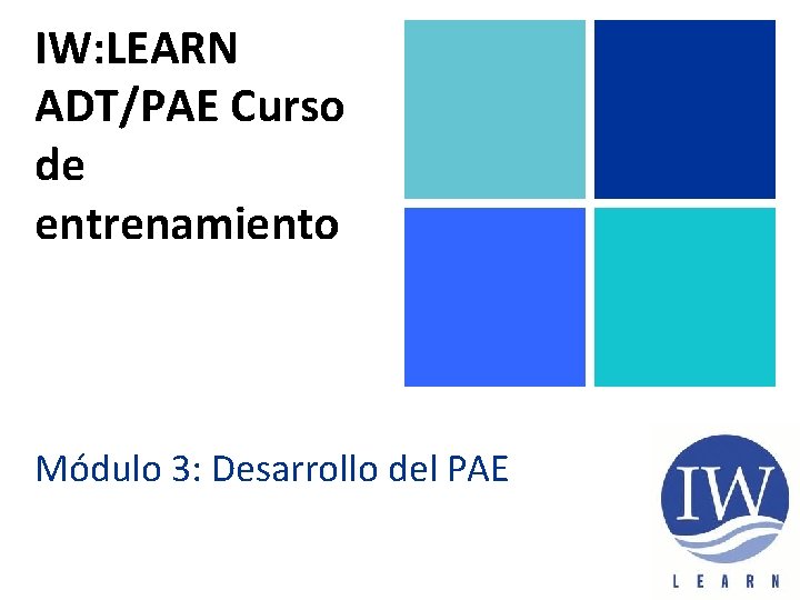 IW: LEARN ADT/PAE Curso de entrenamiento Módulo 3: Desarrollo del PAE IW: LEARN ADT/PAE Curso de entrenamiento Módulo 3: Desarrollo del PAE