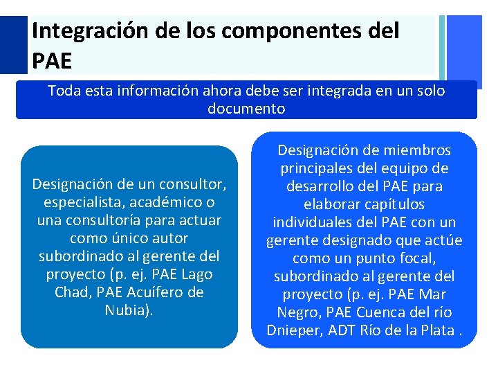 + Integración de los componentes del PAE Toda esta información ahora debe ser integrada + Integración de los componentes del PAE Toda esta información ahora debe ser integrada
