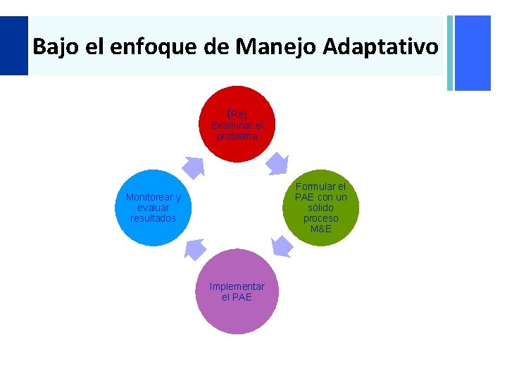 + Bajo el enfoque de Manejo Adaptativo (Re) Examinar el problema Formular el PAE + Bajo el enfoque de Manejo Adaptativo (Re) Examinar el problema Formular el PAE