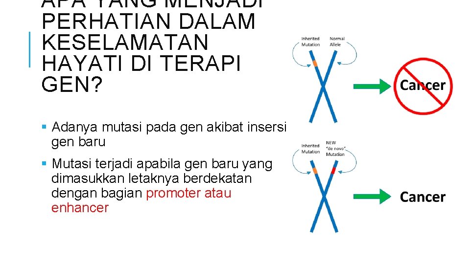 APA YANG MENJADI PERHATIAN DALAM KESELAMATAN HAYATI DI TERAPI GEN? § Adanya mutasi pada