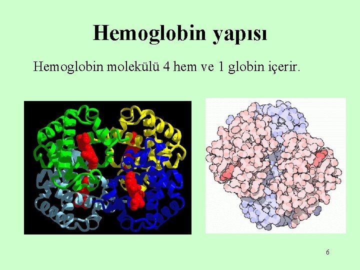 Hemoglobin yapısı Hemoglobin molekülü 4 hem ve 1 globin içerir. 6 