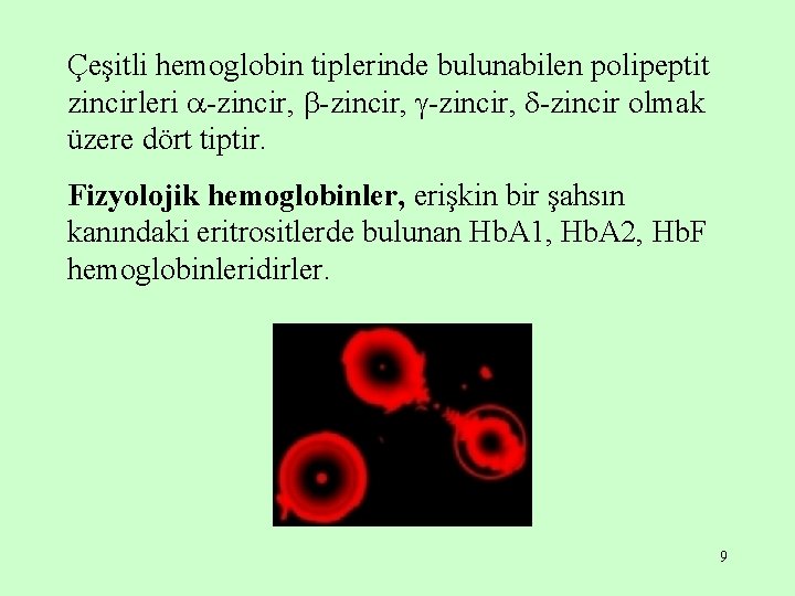 Çeşitli hemoglobin tiplerinde bulunabilen polipeptit zincirleri -zincir, -zincir olmak üzere dört tiptir. Fizyolojik hemoglobinler,